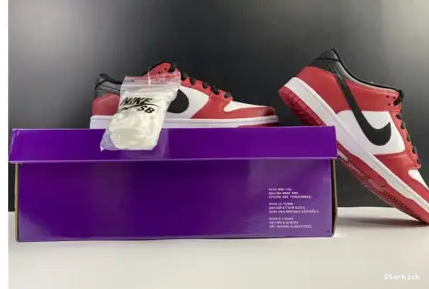 BQ6817-600 Chicago Nike SB Low J-Pack Dunk 0605